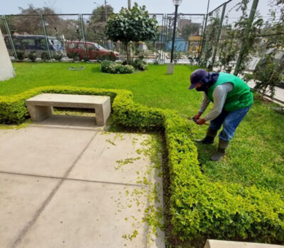 administracion edificios jardineria seguridad (5)1